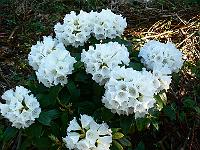 2008-05-09_06-26-03_0024