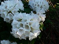 2008-05-09_06-26-17_0027