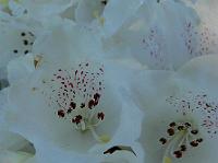 2008-05-09_06-27-00_0034