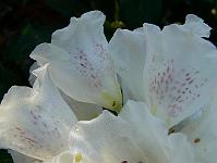 2008-05-09_06-27-29_0037