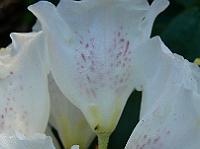 2008-05-09_06-28-30_0044