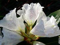 2008-05-09_06-28-45_0048