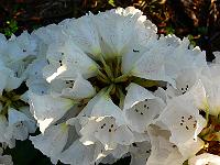 2008-05-11_05-10-50_0030