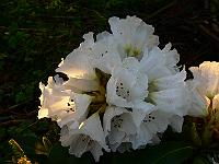 2008-05-12_04-45-23_0042