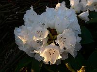 2008-05-12_04-45-23_0043