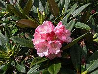 01-06-2006_10-06-26_107