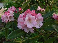 02-06-2006_06-46-08_17
