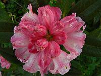 02-06-2006_06-46-50_28