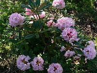 06-06-2006_09-36-04_56