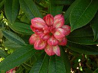 06-06-2006_09-39-16_107