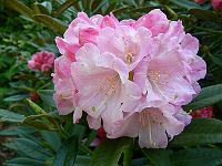 06-06-2006_17-14-55_47