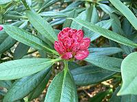 06-06-2006_17-15-49_61