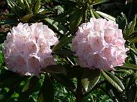 08-06-2006_18-03-28_24