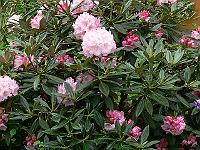 09-06-2006_10-56-14_111