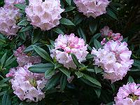 11-06-2006_19-07-23_14
