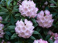 11-06-2006_19-07-27_15