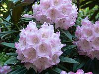 11-06-2006_19-07-31_16