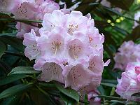11-06-2006_19-07-35_17