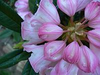 11-06-2006_19-07-57_23