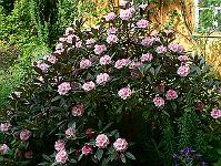 2008-05-23_08-57-26_0086