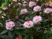 2008-05-23_08-57-26_0090