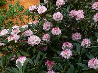 2008-05-23_08-57-26_0091