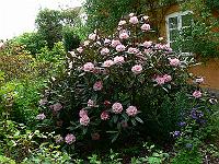 2008-05-23_08-57-26_0110