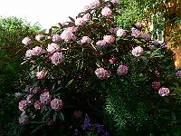 2008-05-29_07-12-06_0011
