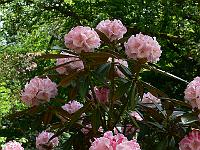2008-05-29_10-11-33_0025