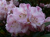 2008-05-29_11-05-15_0095