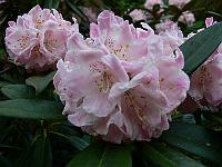 2008-05-29_11-05-15_0106