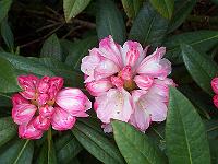 29-05-05kodak_215