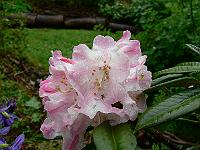 29-05-2007_15-34-34_42