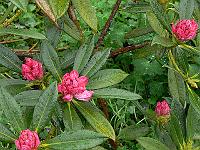 30-05-2006_20-02-02_34