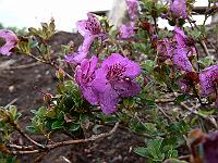 2011-05-26_18-36-41_0048