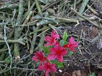 07-06-2006_18-02-12_59