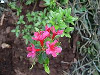 07-06-2006_18-02-25_62