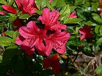 19-05-2007_10-59-16_03