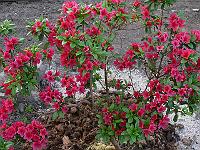 2008-05-29_11-05-15_0137