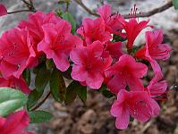 2008-05-29_11-05-15_0139