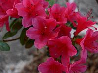 2008-05-29_11-05-15_0143