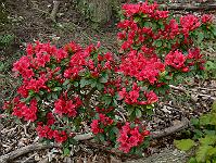 2009-05-17_09-39-48_0107