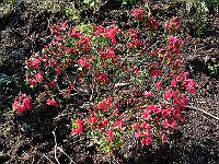 2010-06-01_08-52-39_0050
