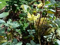 21-06-2007_10-57-21_20