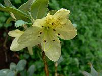 26-06-2007_11-08-25_08