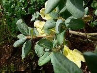 26-06-2007_11-08-40_13