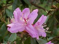 27-04-05canon_078