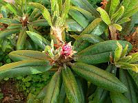 07-06-2006_17-59-49_19