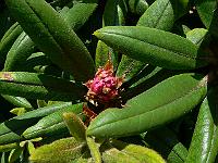 08-06-2006_12-36-57_08