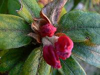 08-06-2006_18-02-08_07